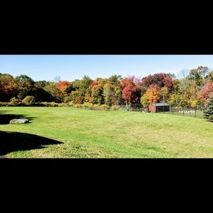 Meet your Posher, Mariebelle